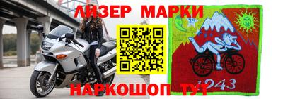 стафф Будённовск
