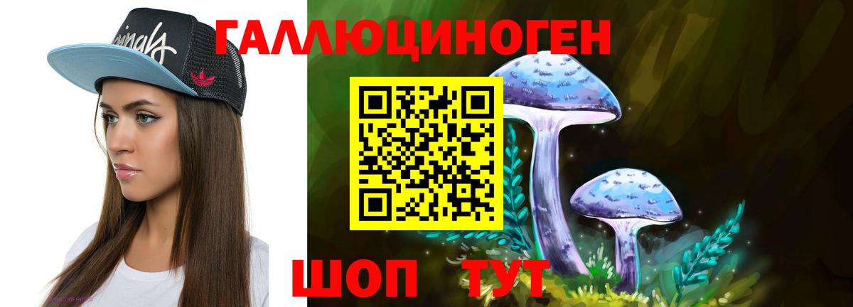 Уфа  Псилоцибиновые грибы прущие грибы  Вход с VPN 